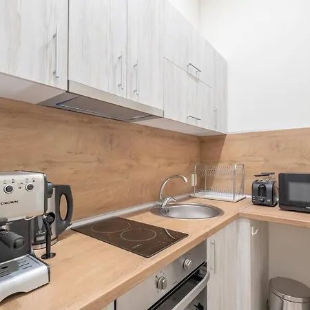 Freshly Renovated 1 Bdrm Loft In Old Center * Sofia
