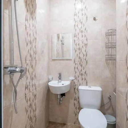 Freshly Renovated 1 Bdrm Loft In Old Center Apartment Sofia