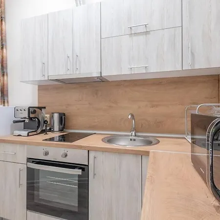 Freshly Renovated 1 Bdrm Loft In Old Center Apartment