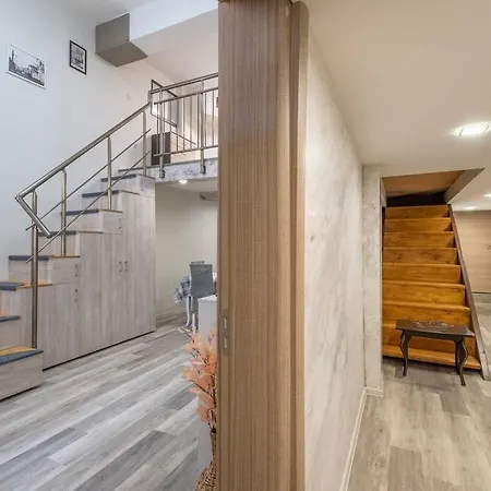 Freshly Renovated 1 Bdrm Loft In Old Center Apartment