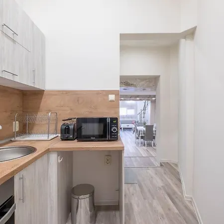 Apartmán Freshly Renovated 1 Bdrm Loft In Old Center *